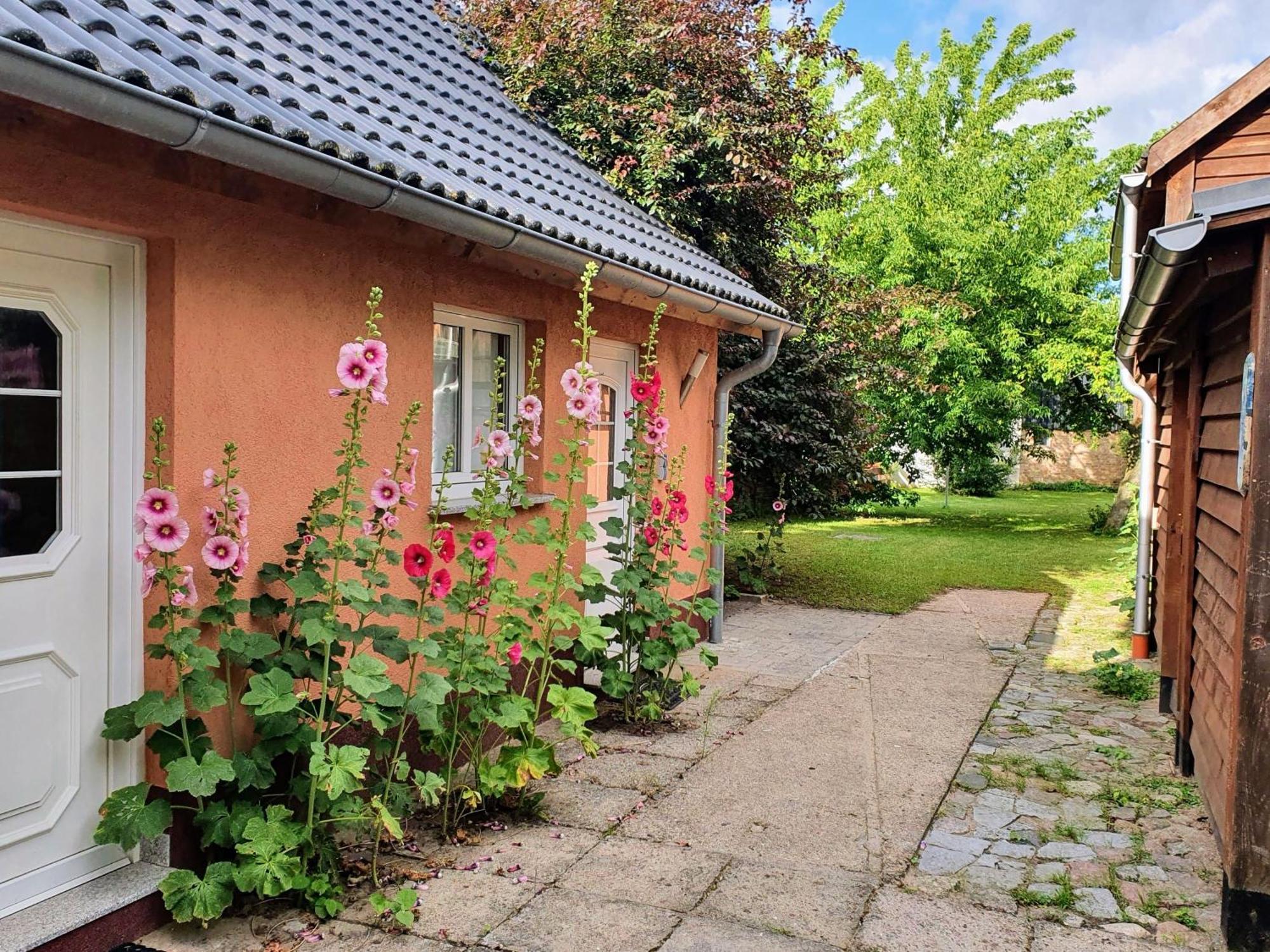 Ferienhaus Moewe Hanshagen  Esterno foto